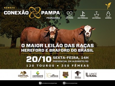 REMATE CONEXÃO PAMPA PRIMAVERA